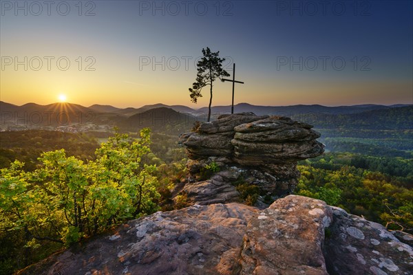 Palatinate Forest