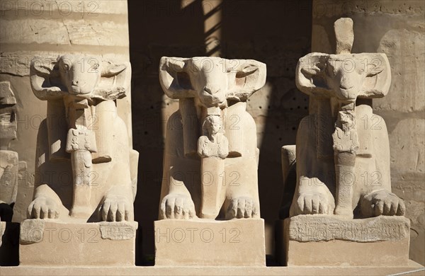 Ram statues in the Karnak Temple