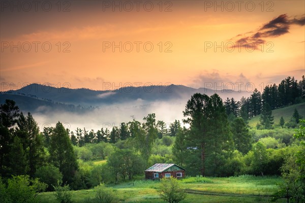 Summer morning on the banks of the Selenge River. Bulgan Province