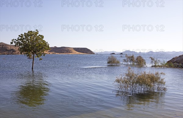 Lake Nasser