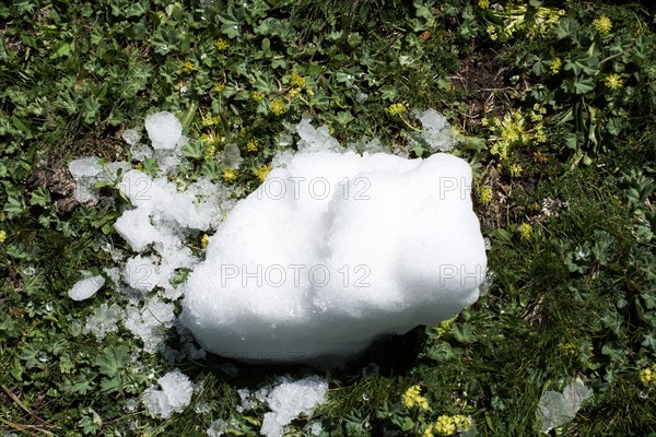 Little amount of snow put in the green grass background