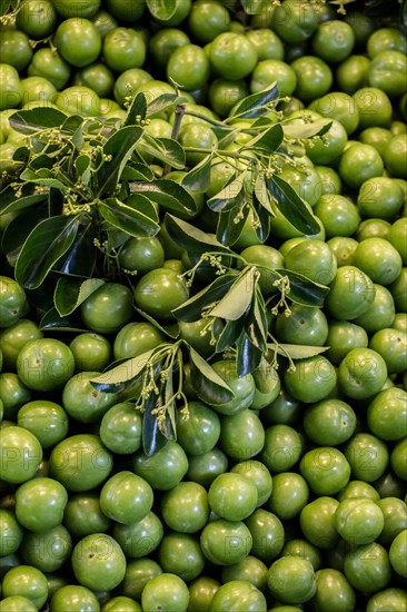 Green unripe plums in bazaar market place