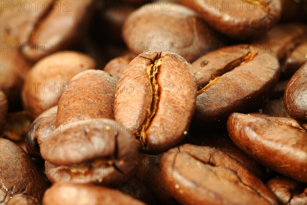 Roasted coffee beans