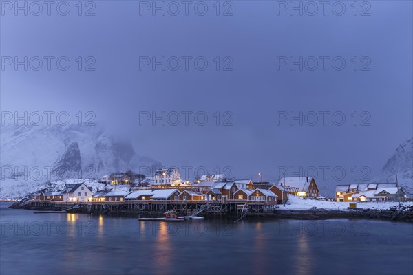 Yellow rorbuer in winter