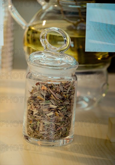 Herbal tea brewed in glass teapot and tea plant in a bottle