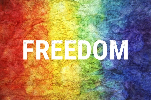 Freedom word on LGBT textured background
