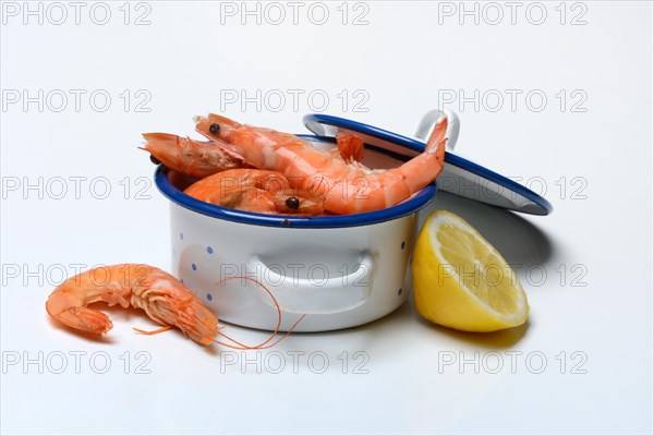 Cooked prawns in pot