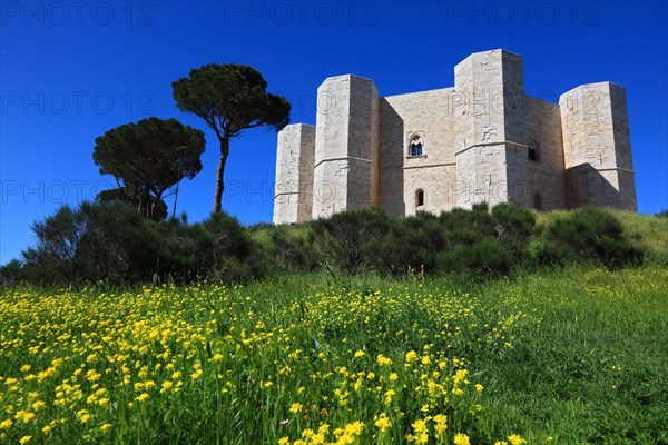 Castel del Monte