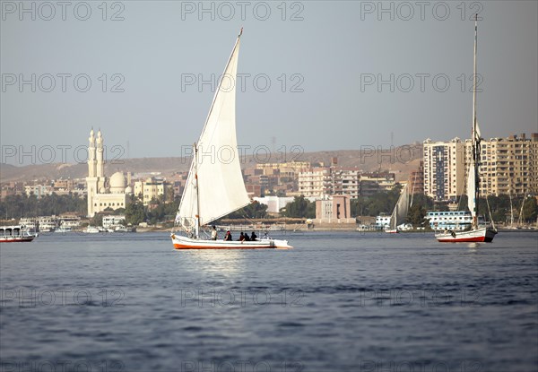 Feluccas or traditional sailing boats on the Nile