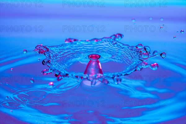 Macro Water Drop