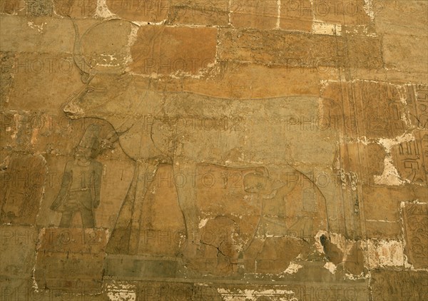 Rock drawing in the Temple of Hatshepsut