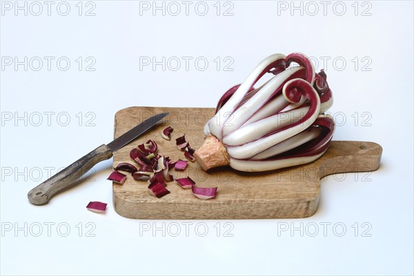 Radicchio