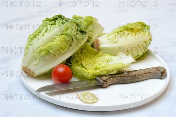 Baby lettuce and tomatoes on plate