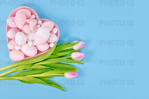 Easter decoration with painted eggs in heart shaped plate and pink tulip flowers on blue background with copy space