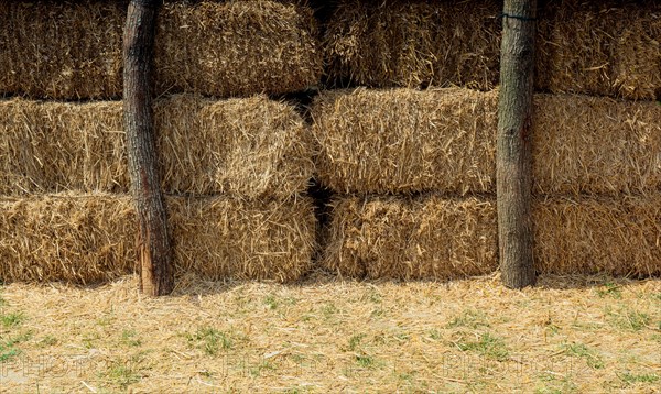 Hay bales stacks outdoors