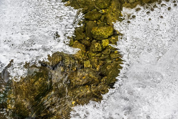 Forms and structures of ice on water