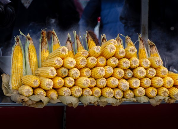 Corn on the cob kernels are peeled