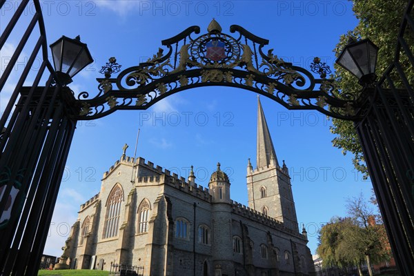 Saint Columban Cathedral