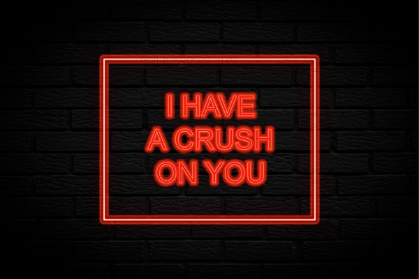 I have a crush on you. 3d lettering. Neon lights on black brick background