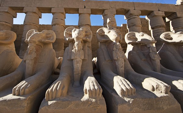 Ram statues in the Karnak Temple