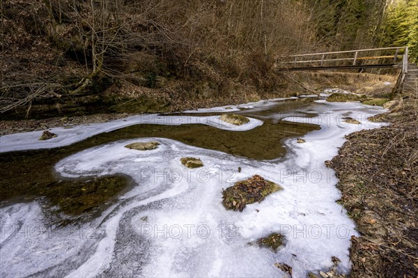 Forms and structures of ice on water