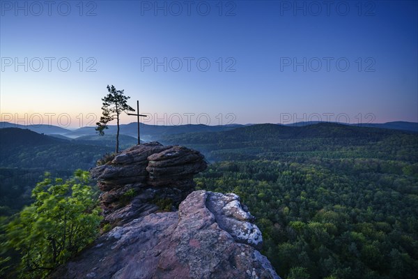 Palatinate Forest