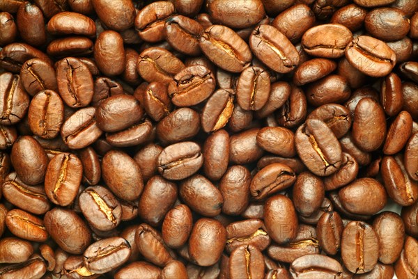 Roasted coffee beans