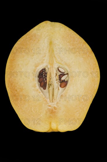 Halved quince