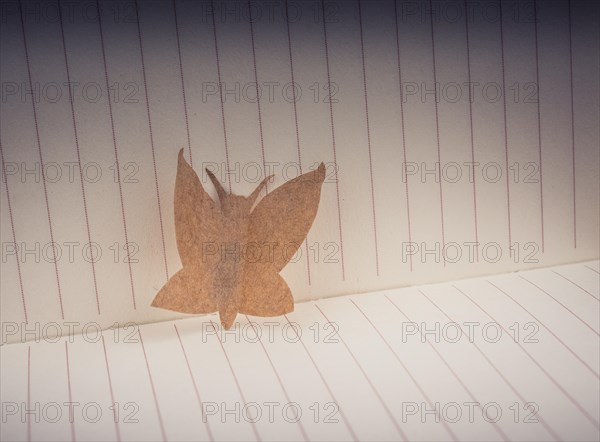 Paper is cut out in shape of a butterfly