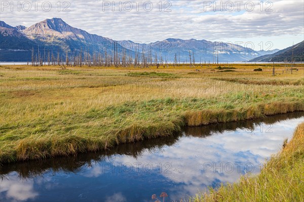 Stream and swamp at the junction to Girdwood on the highway to Homer