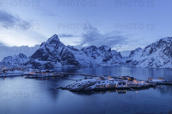 Yellow rorbuer in winter