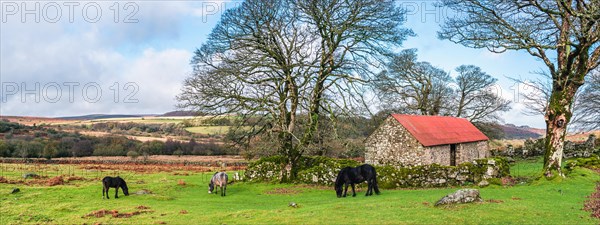 Panorama of Emsworthy Mire