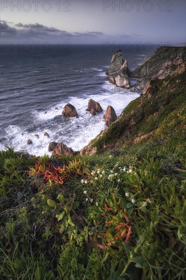 Sunset on the cliff with rocks in the sea
