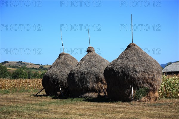 Farming in the Maramures