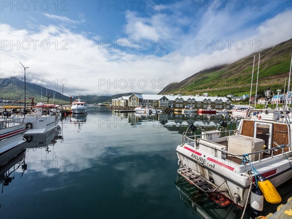 Boats in the harbour