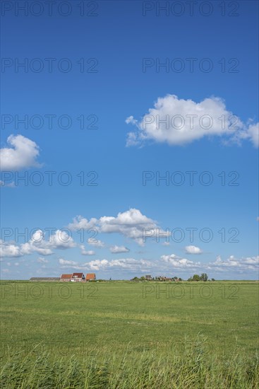 Landscape near the hamlet of Hoefe south of the canal