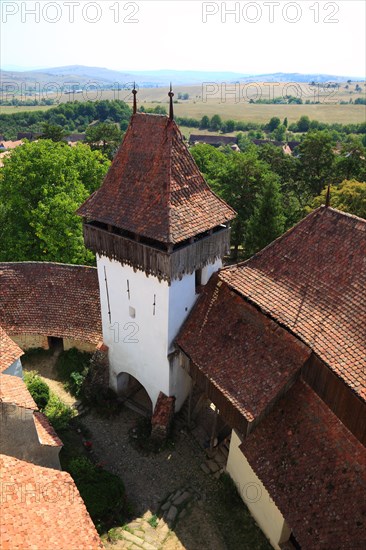 View from the tower