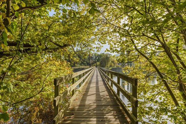 Wooden bridge from Werd Monastery Island across the Rhine to Eschenz