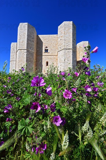 Castel del Monte