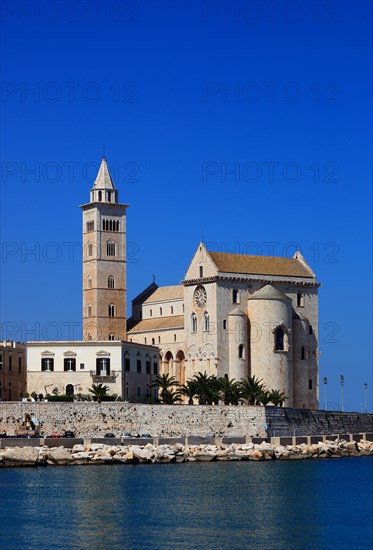 Cathedral of San Nicola Pellegrino