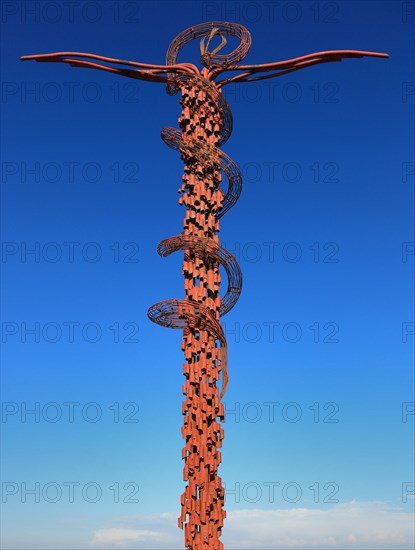 Cross entwined by a brass serpent
