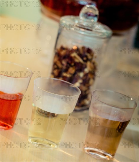 Herbal tea brewed in glass teapot and tea plant in in glasses