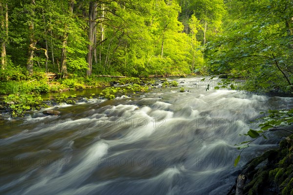 The river Wutach