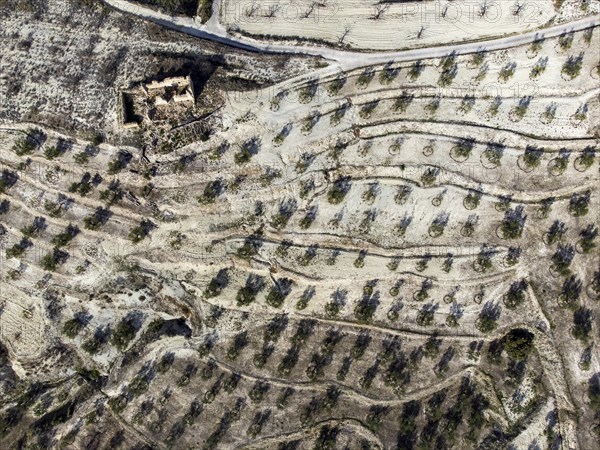 Aerial view of farm house in ruins in olive grove near the village of Gorga