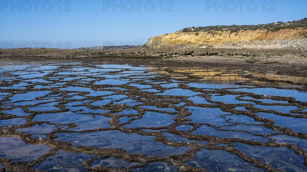 Coast and beach at low tide