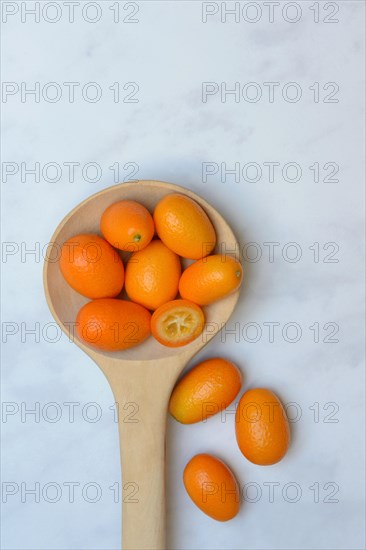 Kumquat