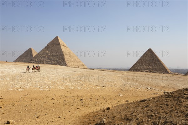 Camel riding on the west side of the pyramids