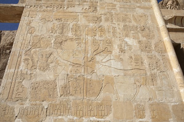 Rock drawing in the Temple of Hatshepsut