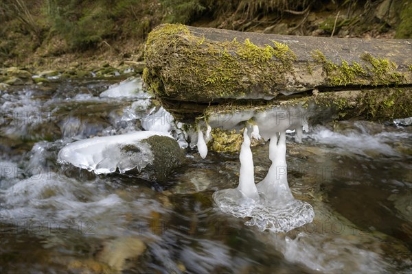 Forms and structures of ice on water