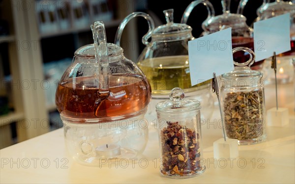 Herbal tea brewed in glass teapot and tea plant in a bottle